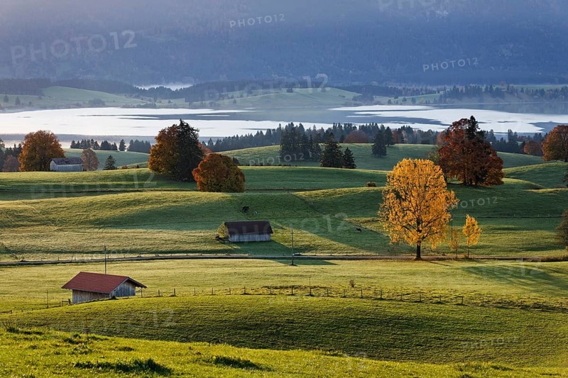 Autumn morning over the Forggensee reservoir