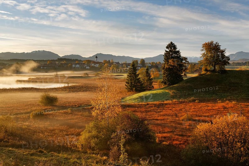 Landscape near the Osterseen lakes
