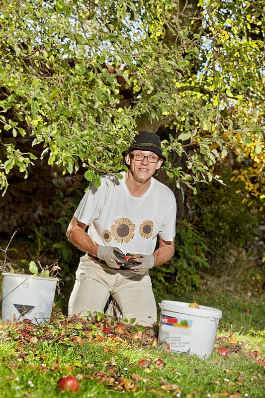 Man at the apple harvest