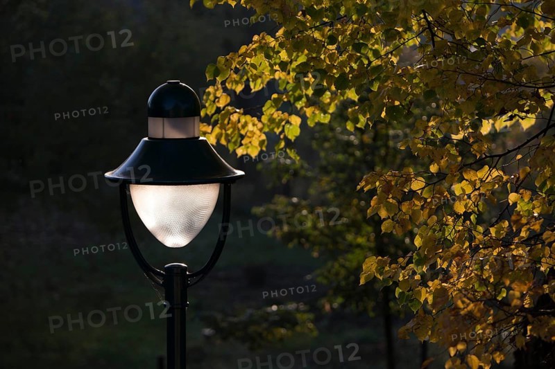 Lamp and yellow autumnal leaves of a lime tree