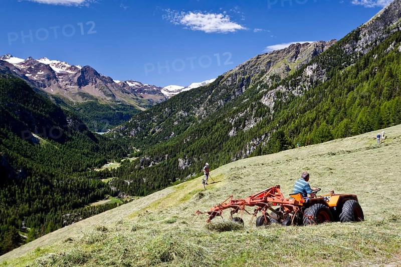 Mountain farmers making hay