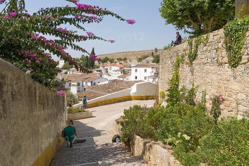 Cityscape from the Castelo de Obidos