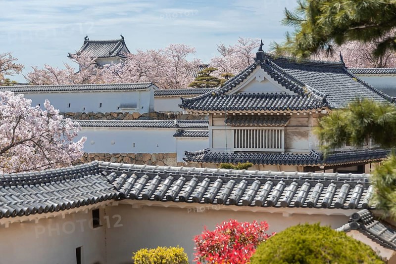 Outside Himeji Castle