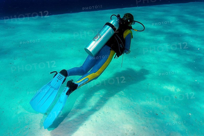 Diver