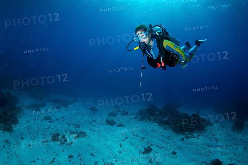 Diver