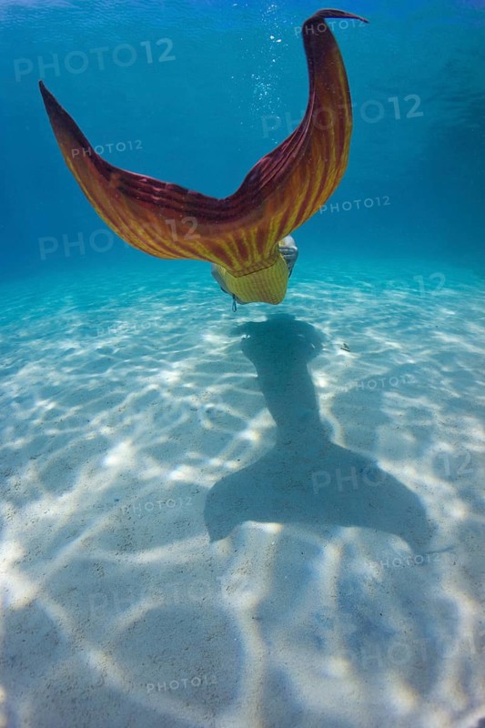 Mermaid