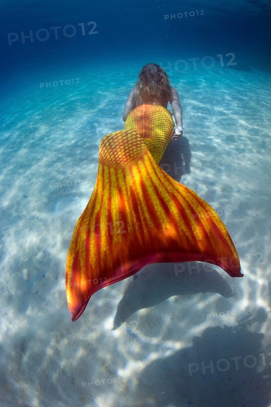 Mermaid