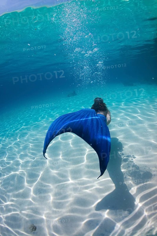 Mermaid