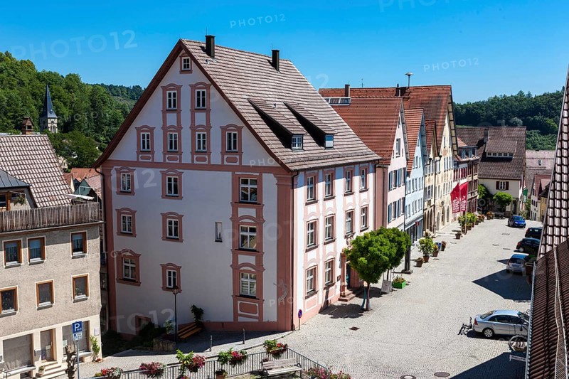 View from the Collegiate Church of the Holy Cross over the town of Horb am Neckar