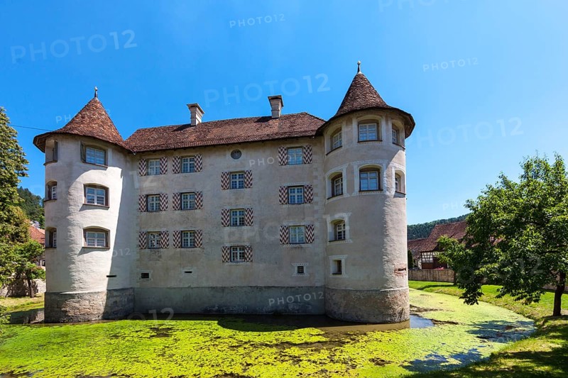 Moated Castle of Glatt