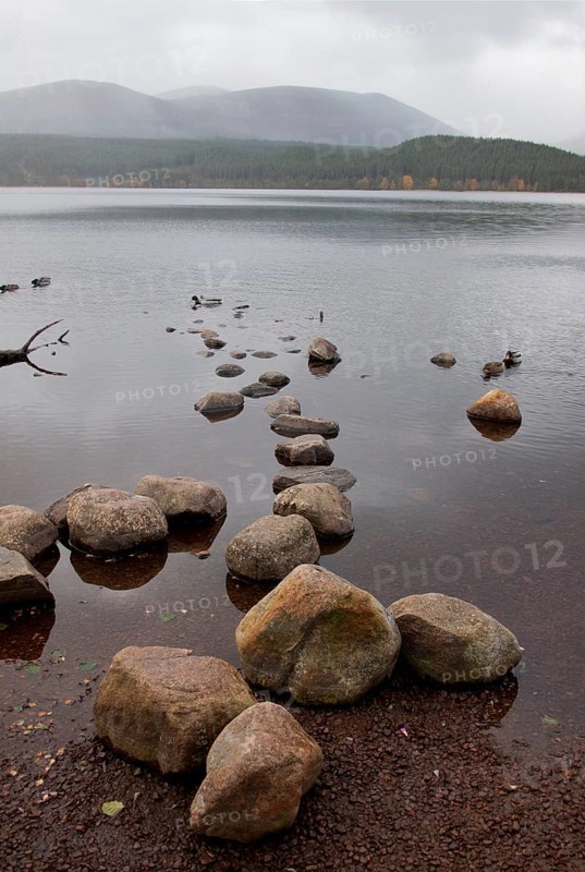 Loch Morlich
