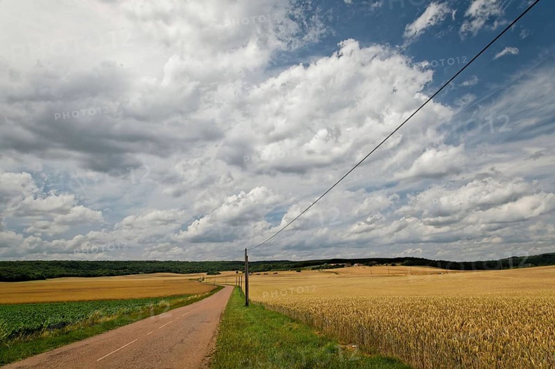 Near Pierrecourt along the D5 road