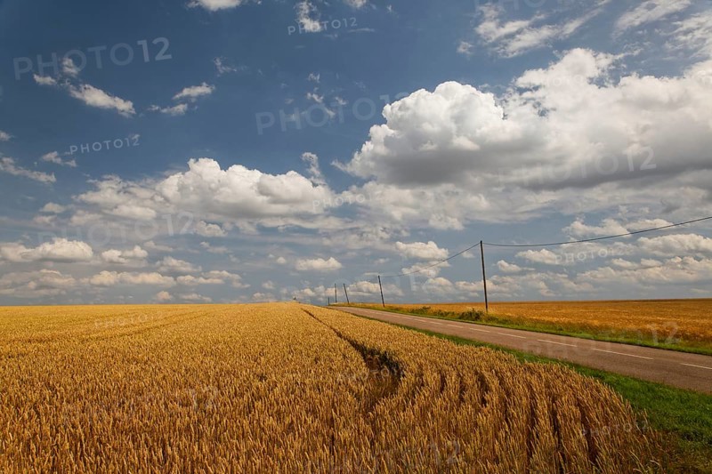 Fields near Pierrecourt along the D5 road