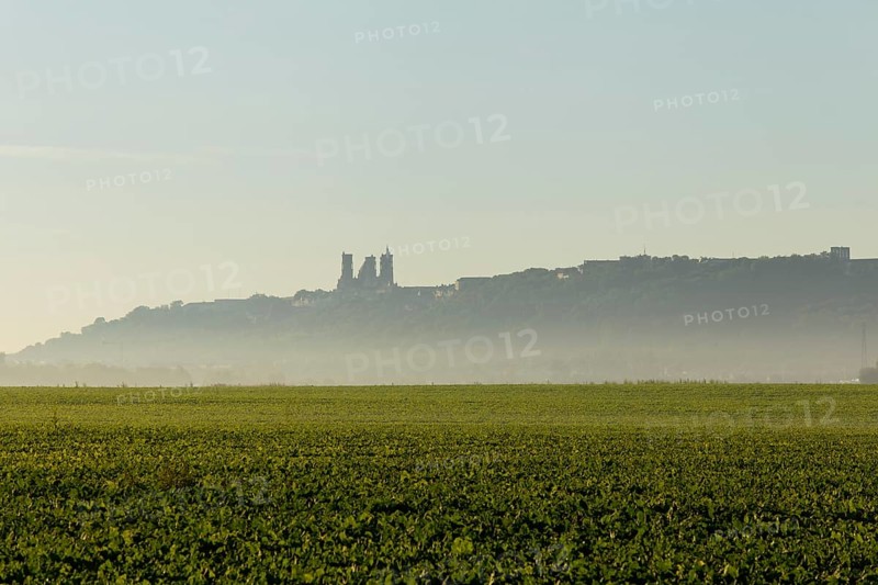 Laon Cathedral in the morning mist