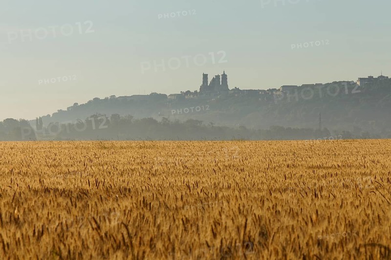 Laon Cathedral in the morning mist