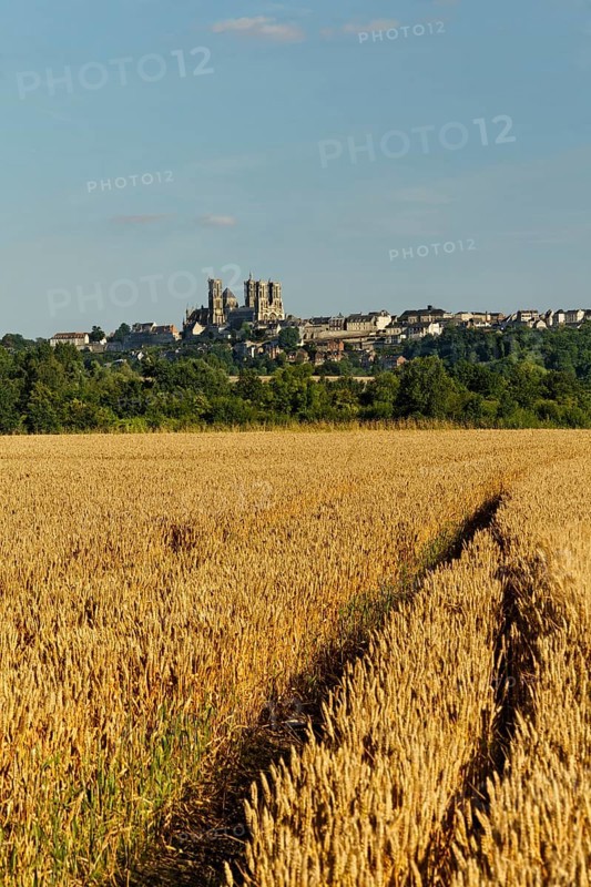 Laon Cathedral in the historic district on a limestone table mountain