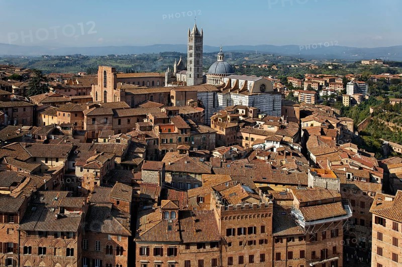 View from Torre del Mangia