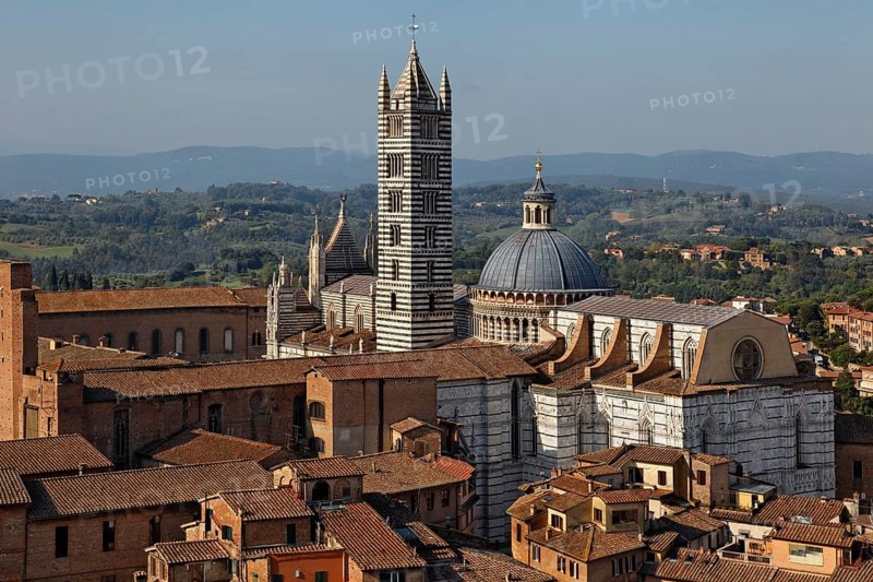 View from Torre del Mangia
