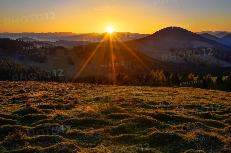 Sunrays over an alpine pasture at sunset