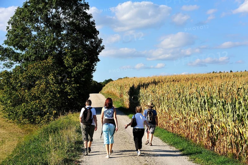 Hikers in the Franconian countryside