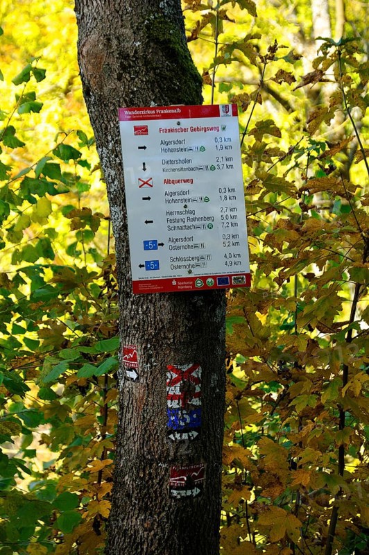Old and new hiking signs on a tree
