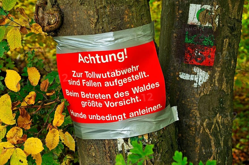 Warning sign on a tree