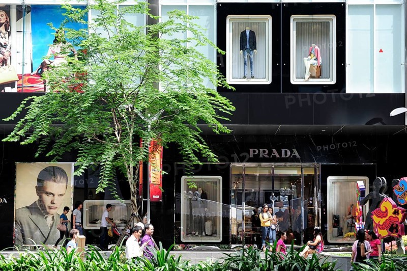 Shop windows of the Prada store