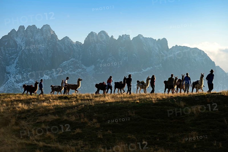 Llama tour at the summit of Ederplan Mountain in the Defregger Group