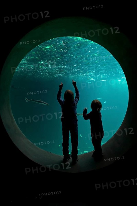 Children in front of the large round window of an aquarium