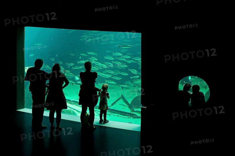 Visitors in front of a aquarium