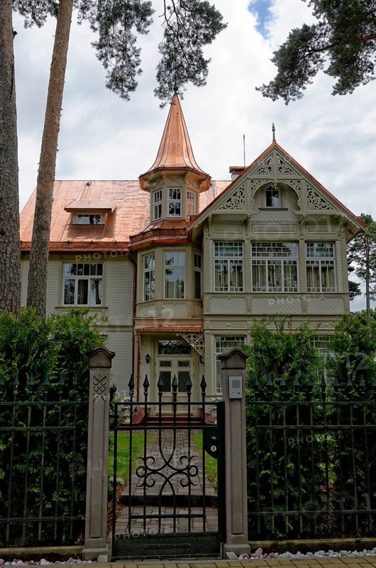Wooden villa with a copper roof