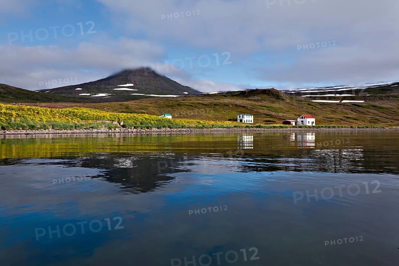 Hornstrandir
