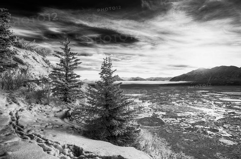 Winter landscape along Turnagain Arm