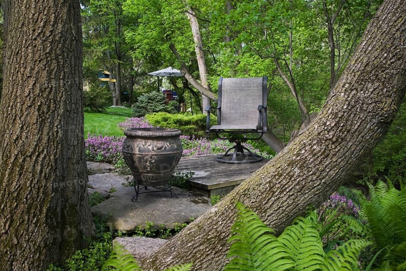 View through two tree trunks of a planter and a chair on a raised platform in a landscaped backyard garden in spring