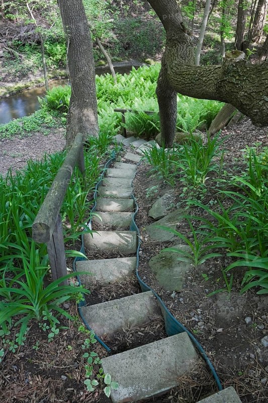A set of steps designed with concrete paving slabs leads down to a patch of ferns in a landscaped backyard garden in spring
