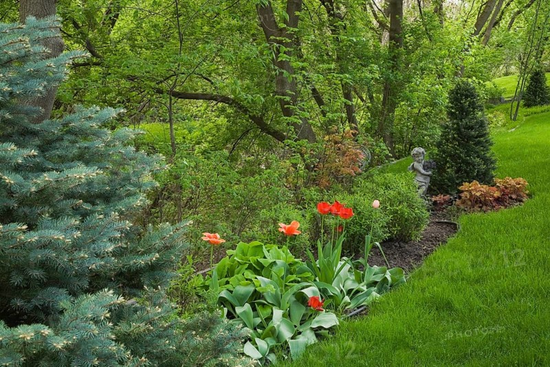 Garden border with red tulips in a landscaped residential backyard garden in spring