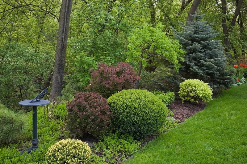 Sundial and colorful shrubs in a garden border in a landscaped residential backyard garden