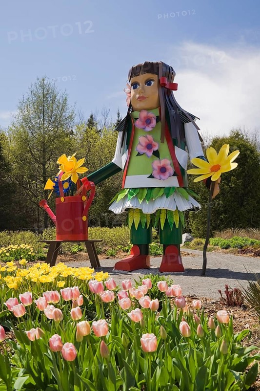 A tall native girl like doll stands next to a patch of pink and yellow tulips in the Greeting garden at the "Route des Gerbes d'Angelica" garden at springtime