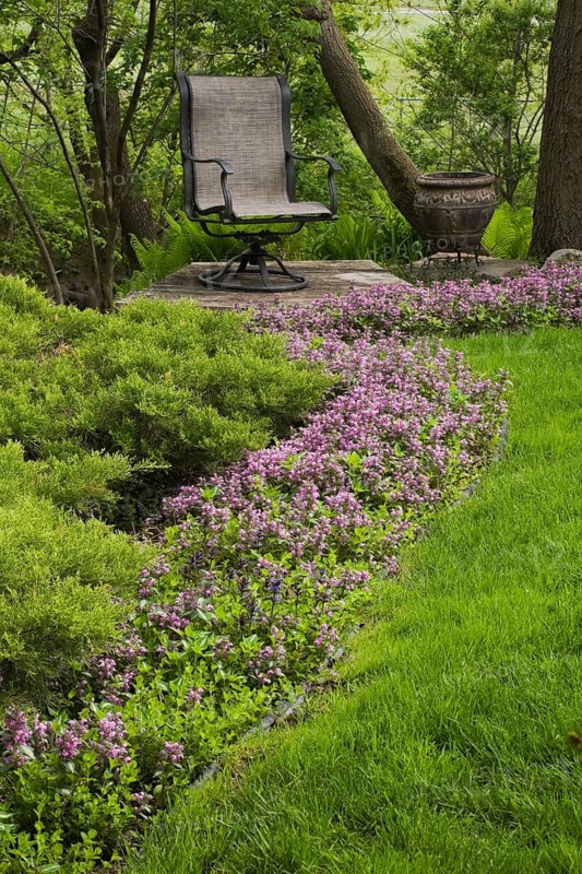 A row of purple flowers in a flower bed lead to a chair in a landscaped backyard garden in spring