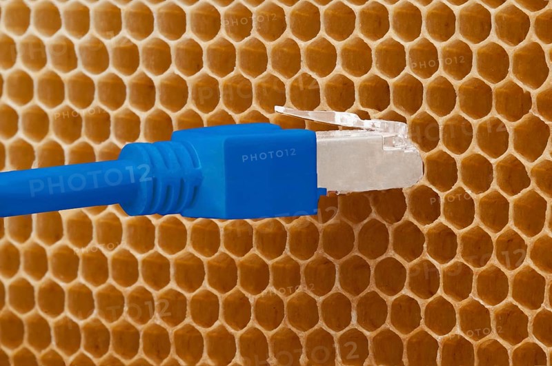 Honey comb with ethernet LAN plug