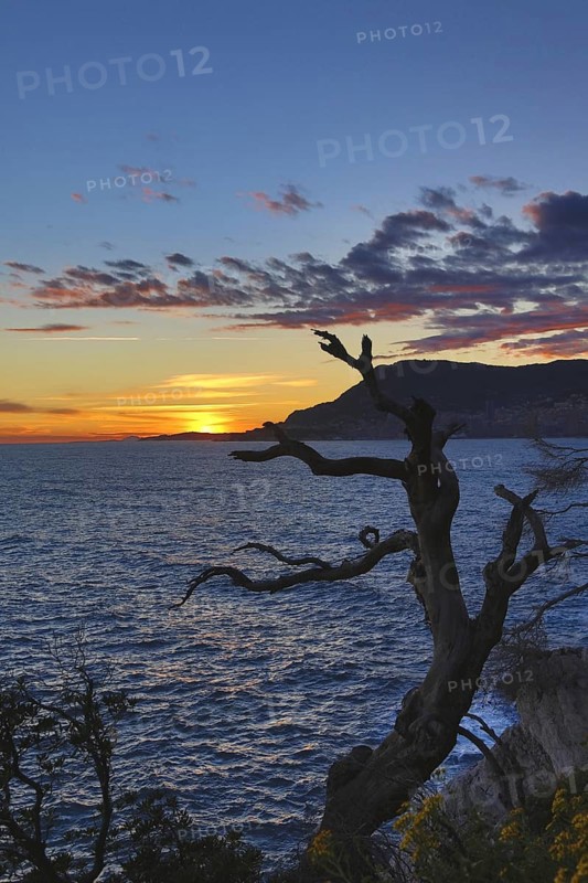 Principality of Monaco viewed from Cap Martin at sunset