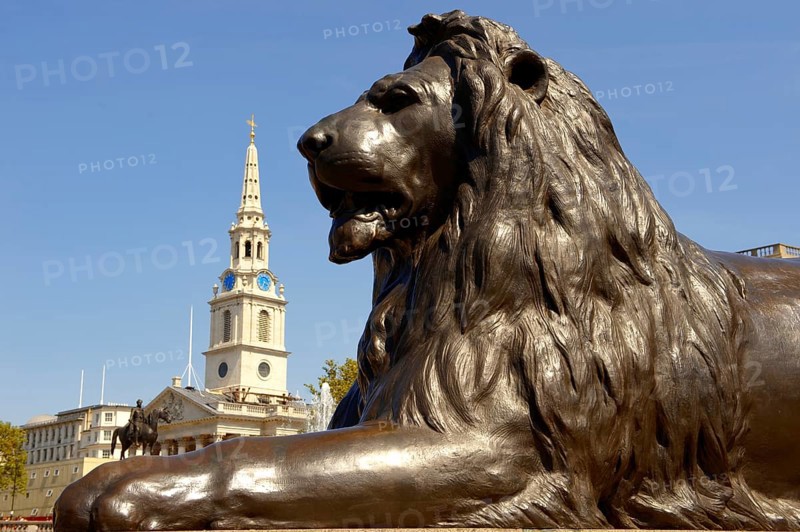 Lion statue with St Martin-in-the-Fields
