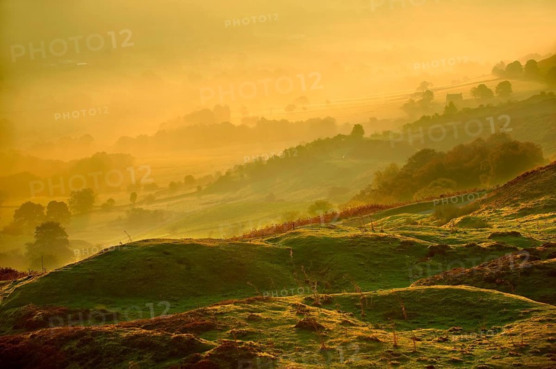 Rosedale in morning light