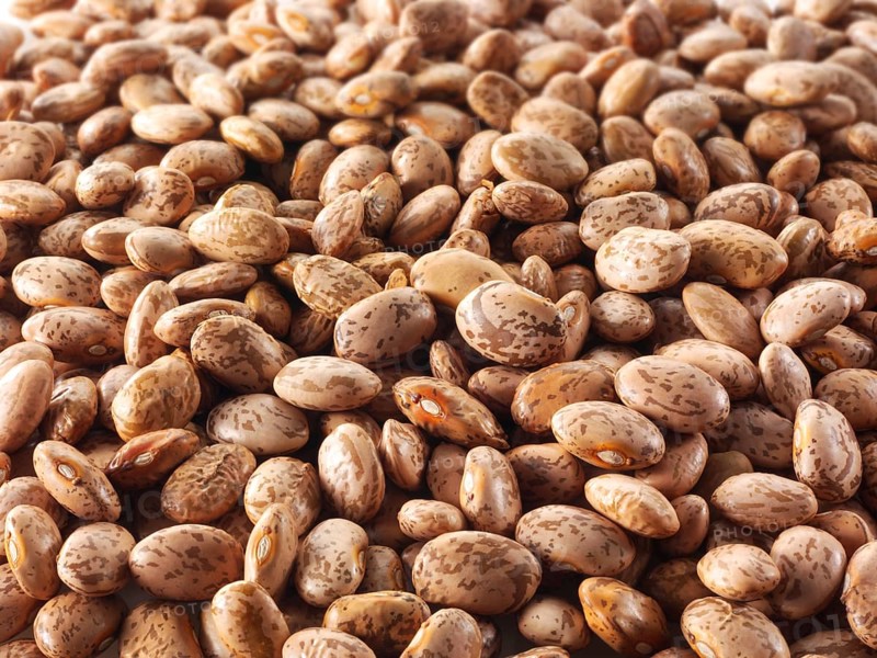 Red Mullet beans or Barbunya beans