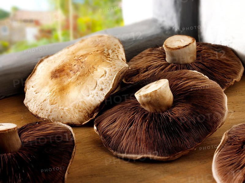 Portabella mushrooms