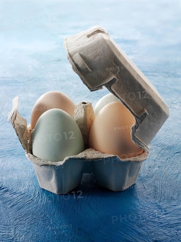Cotswold Legbar organic free range chicken eggs