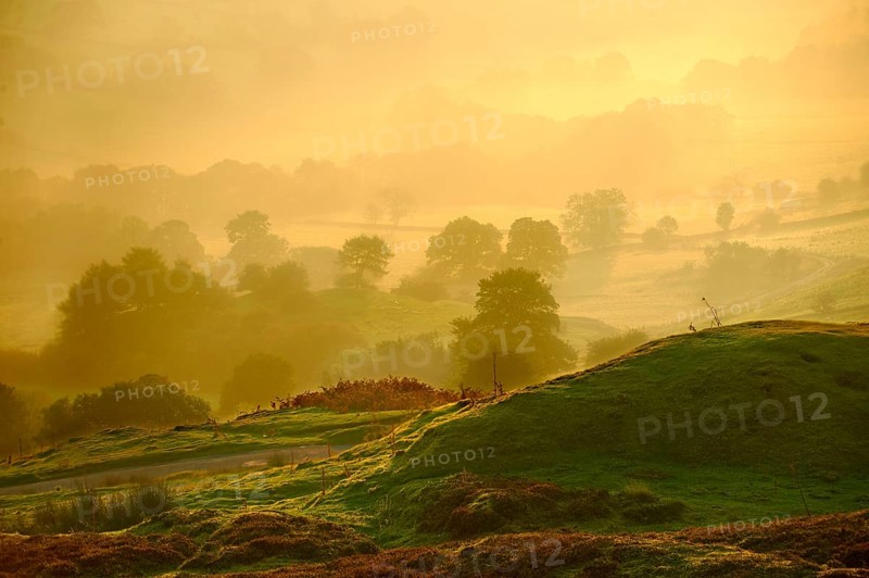 Sunrise over Rosedale viewed from Chimney Bank