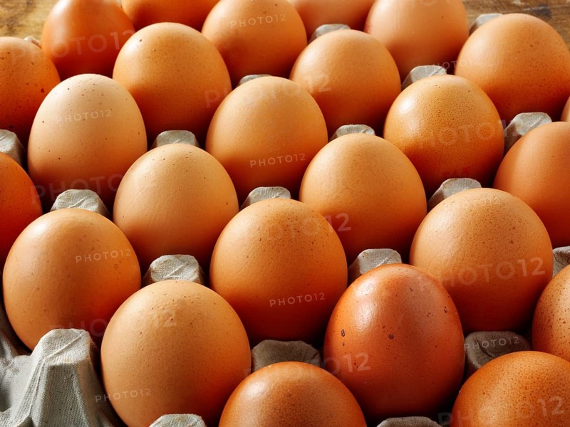 Fresh brown free range eggs