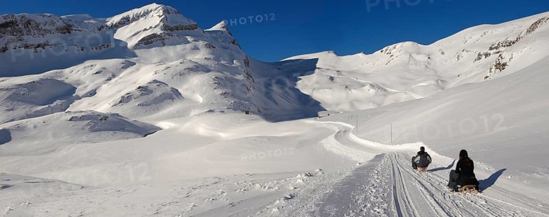 Toboggans in snow in the mountains near Grindelwald First