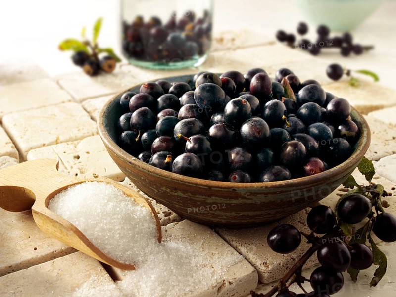 Fresh sloe berries